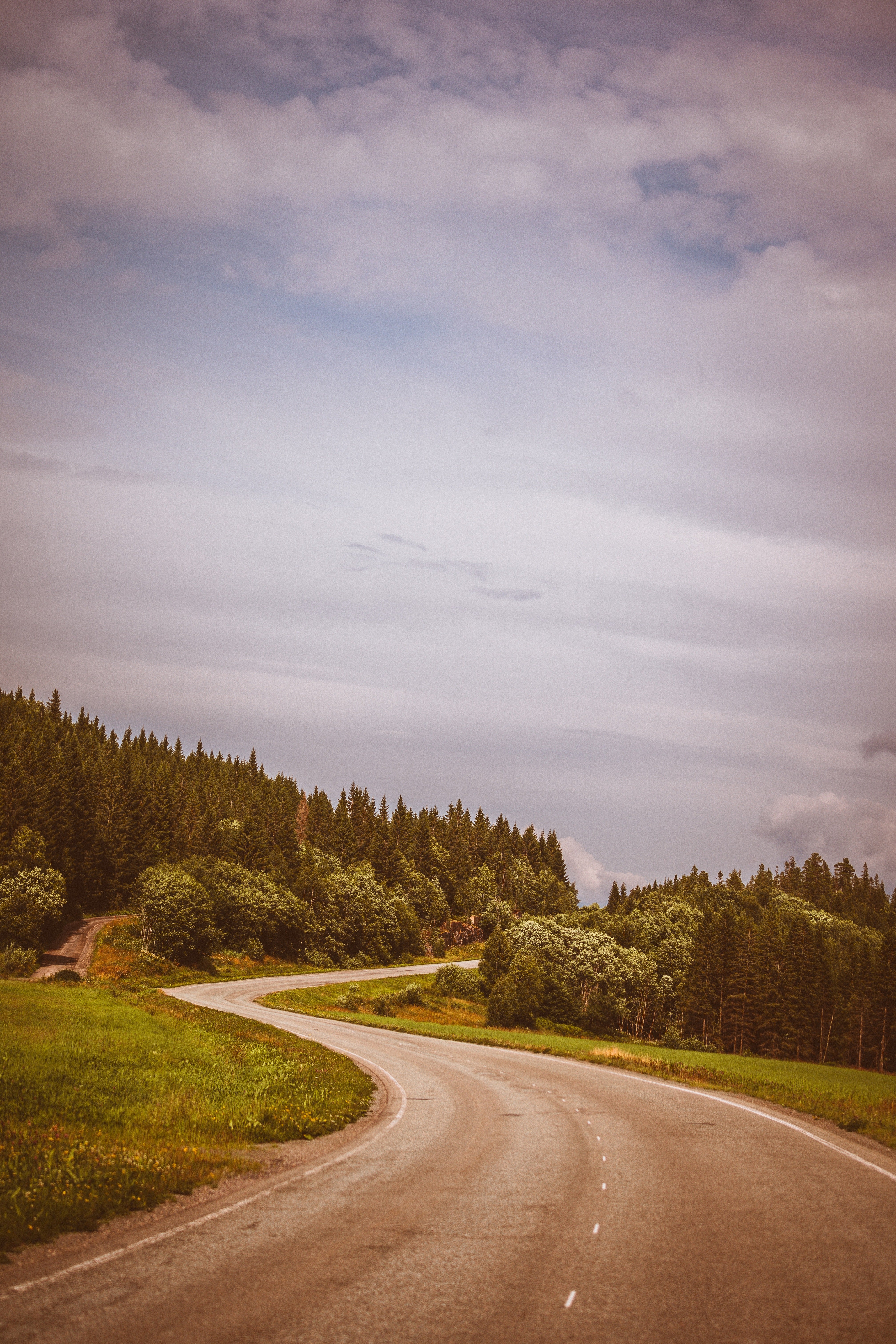 Walk Through Greenery Poster