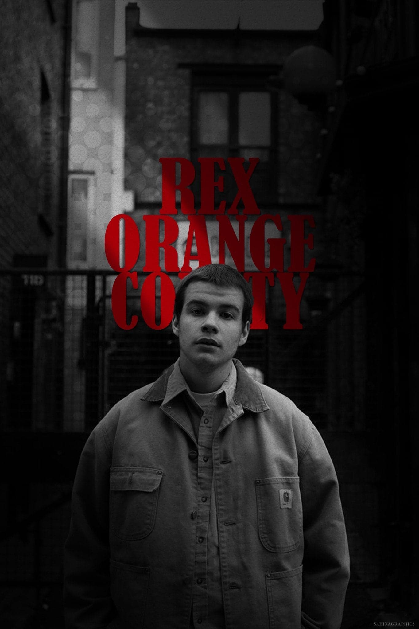 Rex Orange County 'Shadow' Poster - Posters Plug