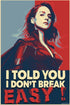 Stormfront ‘I Don’t Break’ Poster - Posters Plug